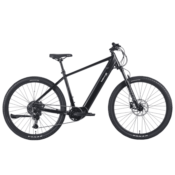 Ascent X - Adventure Electric Mountain Bike