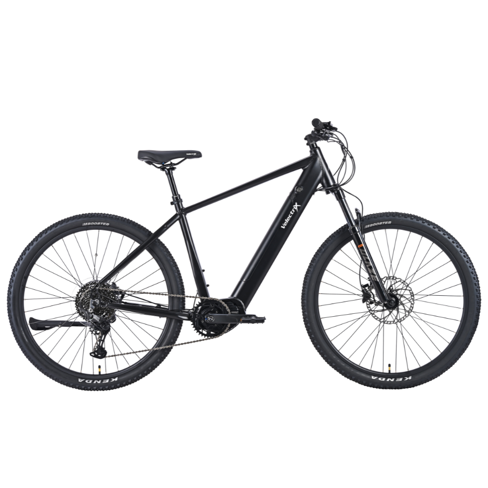 Ascent X - Adventure Electric Mountain Bike