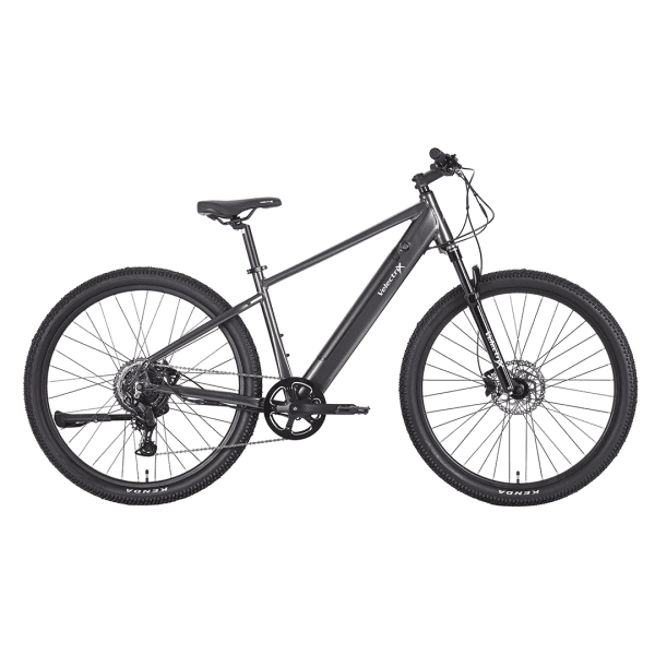 Ascent 29 - Adventure Electric Mountain Bike